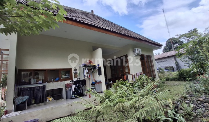 Rumah di Jual Utara Stadion Maguwo 2
