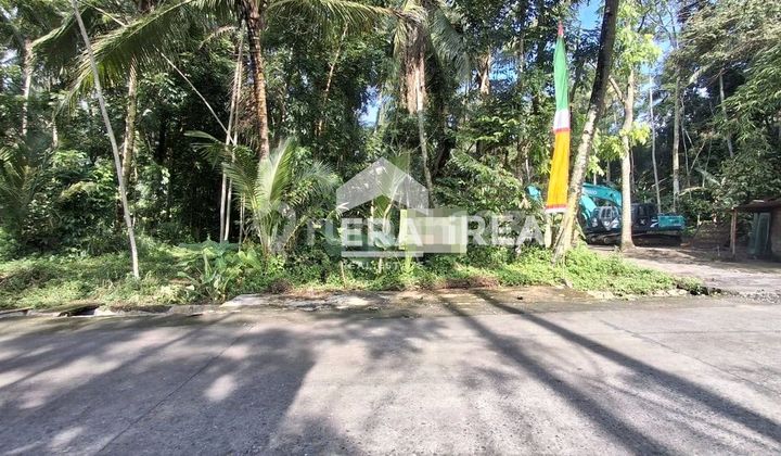 Tanah Pekarangan Siap Bangun Lokasi Istimewa