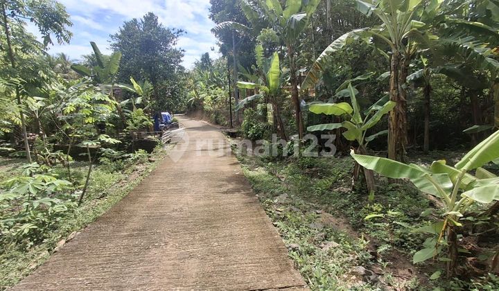 Residential Land Near UMY Campus