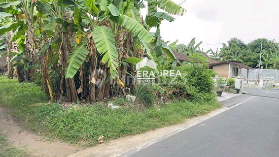 Tanah Pekarangan Cocok Buat Investasi Tanah Pekarangan Cocok Buat Investasi