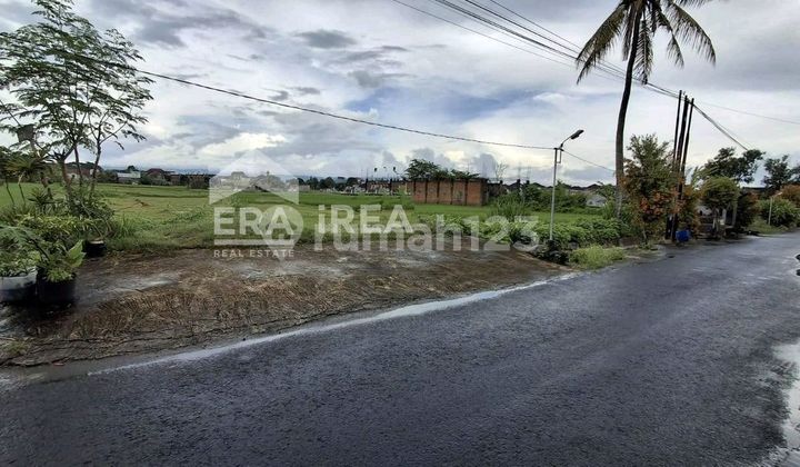 Tanah Sawah Cocok Buat Investasi Daerah Bantul