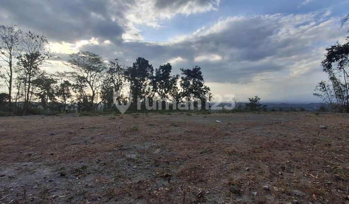 Residential Land on Bintang Hill