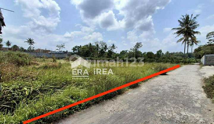 Northern Region Yard Land Suitable for Investment
