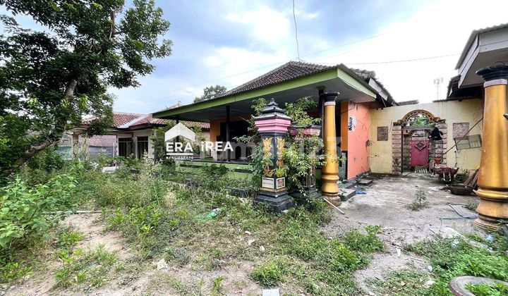 Tanah di Jual Bonus Rumah Strategis Tanah di Jual Bonus Rumah Strategis
