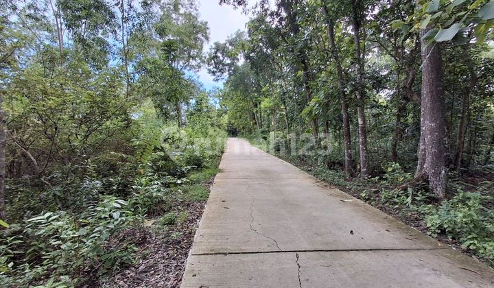 Tanah Pekarangan ******** Perumahan