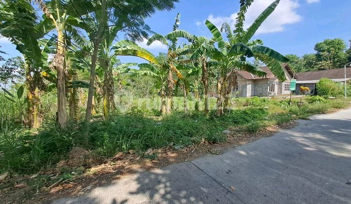 Yard Land Suitable for Residential Use