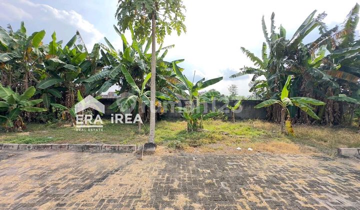 Tanah Pekarangan Siap Bangun