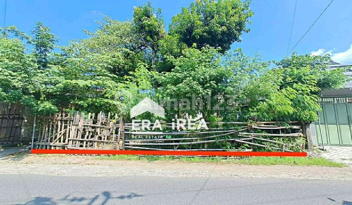 Homestead Land ******** Strayegis Homestead Land ******** Strayegis