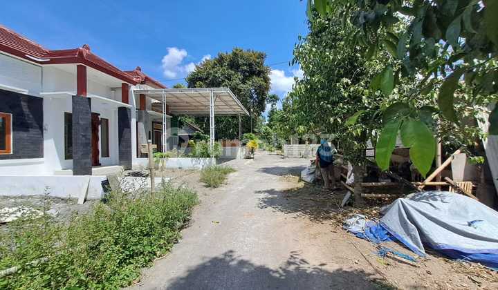 Tanah Pekarangan Siap Bangun Tanah Pekarangan Siap Bangun