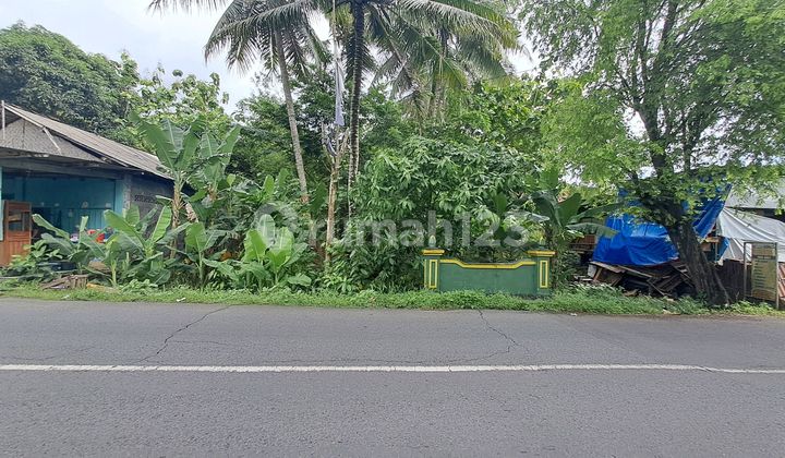 Tanah Pinggir Jalan Utama Sentolo Tanah