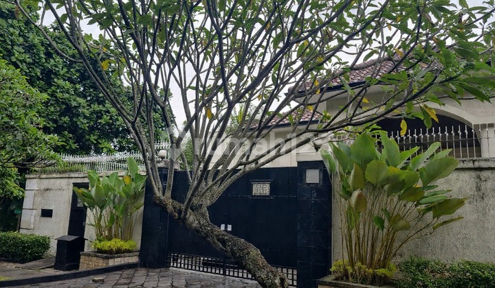 Rumah Mewah 2Lt, Hook, Hal Luas, Pool, Siap Huni Villa Cinere Mas 2