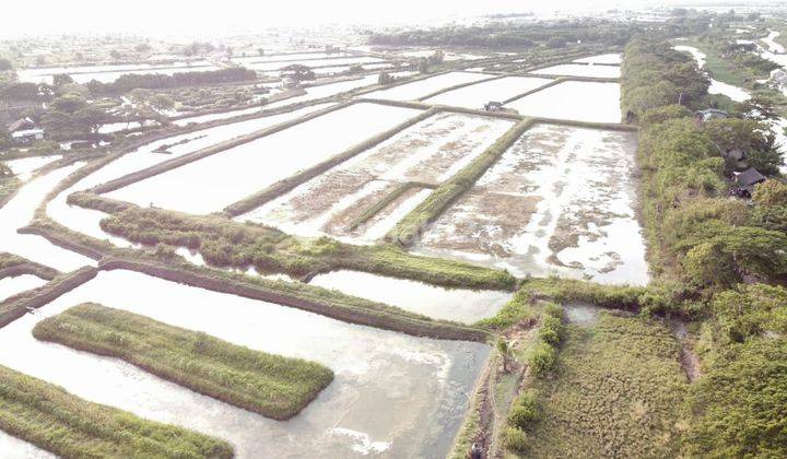 Tanah Utk. Industri, Lt. 8227, Lebar 87.5, Shm, Sukajaya, Pontang 3