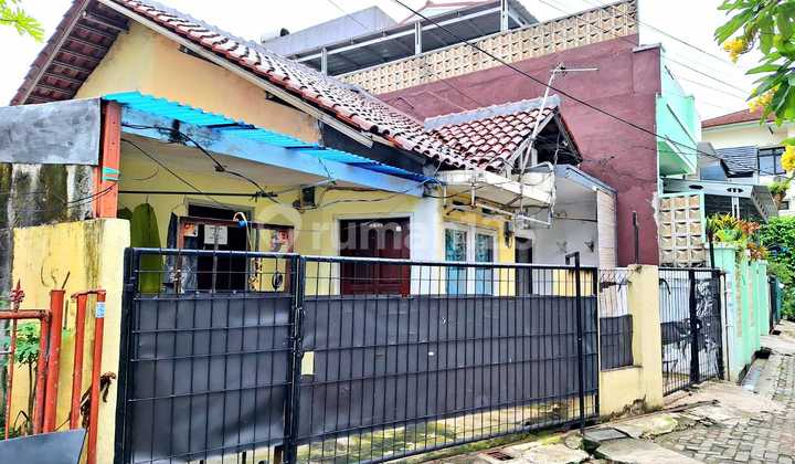 Rumah Kontrakan 1 Lt, Petakan 3 Pintu, dlm Prmhn Duren Sawit Baru Rumah Kontrakan 1 Lt, Petakan 3 Pintu, dlm Prmhn Duren Sawit Baru