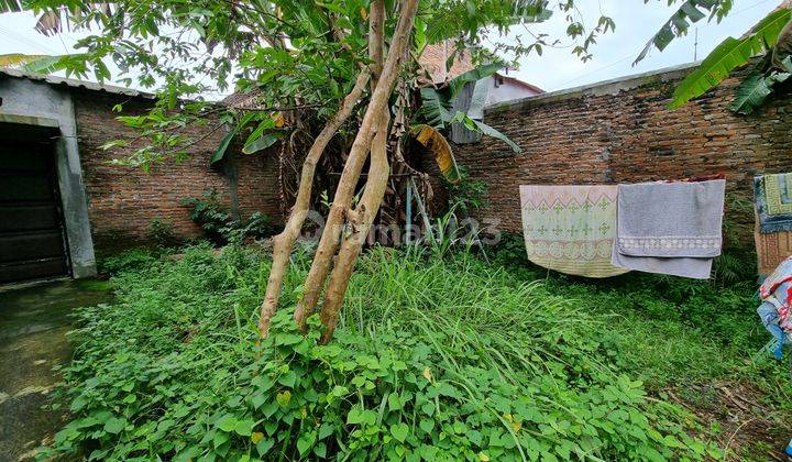 Jual Cepat || Tanah Pekarangan Padat Penduduk di Gumpang, Kartasura 5
