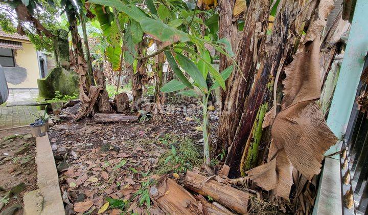 Jual Cepat || Tanah Pekarangan Padat Penduduk di Gumpang, Kartasura 6