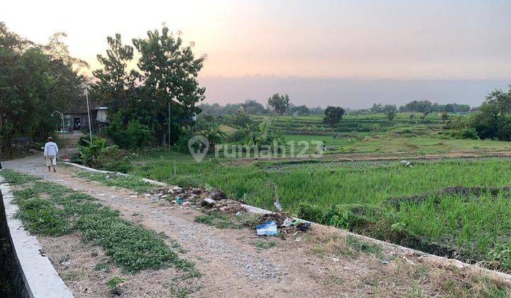 Tanah Strategis Muraahh di Kedawung 10 menit ke Alun2 Sragen 1