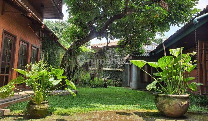 Rumah asri dan cozy premium area di Cipete  2