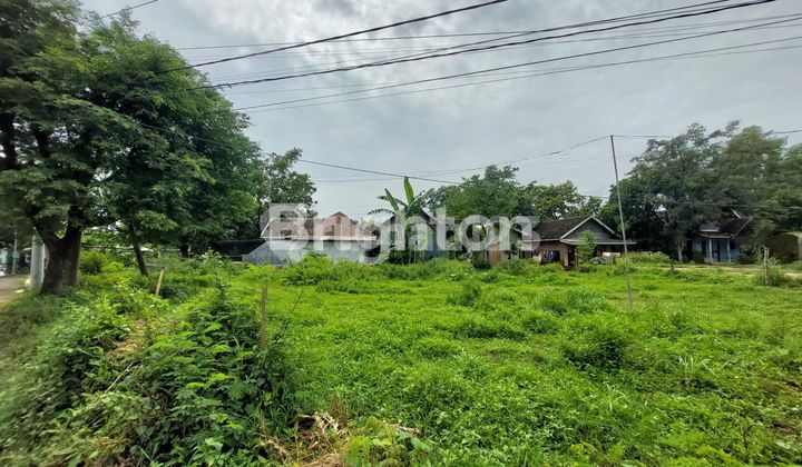 JUAL TANAH DUSUN SUKOANYAR PURWOSARI