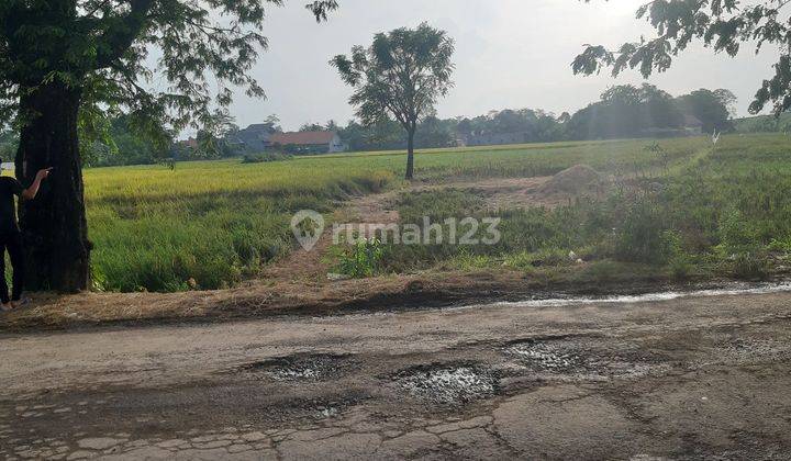 TANAH LOKASI STRATEGIS PEGANDON KARANGDADAP PEKALONGAN JAWA TENGAH 2