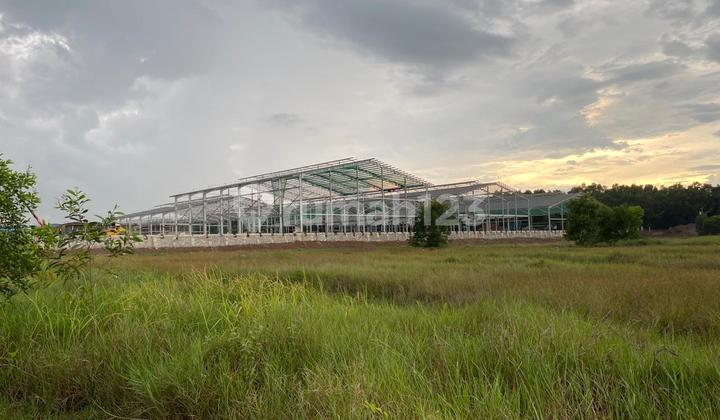 For Sale Industrial Plot 3.2 Hectares West Karawang For Sale Industrial Plot 3.2 Hectares West Karawang