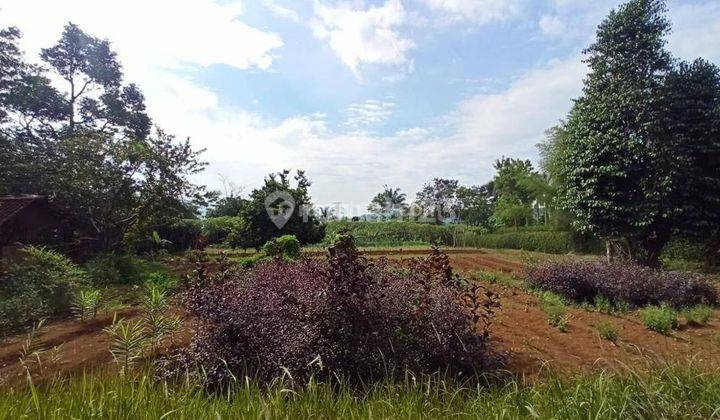 Tanah di Gadog ciawi 5562 m² 6