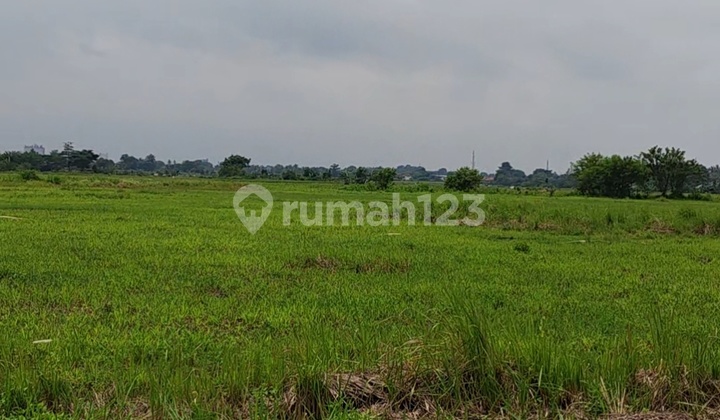 Dijual Kavling di Kawasan Industri Balaraja