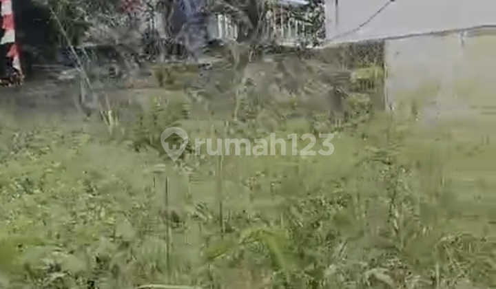 Dijual Tanah di Ciujung Serang Banten Dijual Tanah di Ciujung Serang Banten