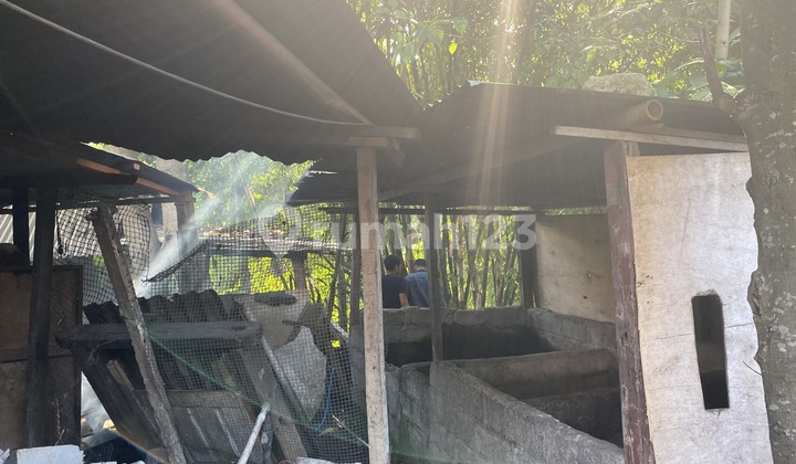 foto lainnya tanah 10,28 are di sekar