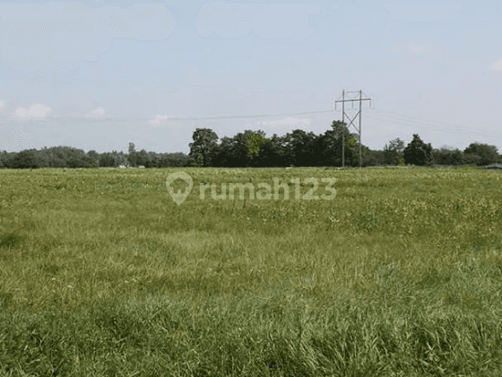 Tanah Strategis di Citra Green Cocok Untuk Gudang, Rumah, Dll 1