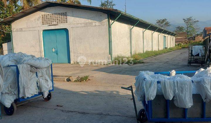 Jarang Ada Gudang Luas, Berijin Celup Daerah Cikancung, Majalaya 1