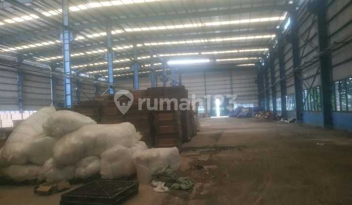 Gudang Kapuk Kamal Kayu Besar Jakarta Barat Dekat Tol Lingkar Luar Dan Dalam Gudang Kapuk Kamal Kayu Besar Jakarta Barat Dekat Tol Lingkar Luar Dan Dalam