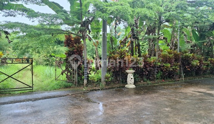 Tanah Jl Cilubang Mekar Dramaga Kec Cikarawang