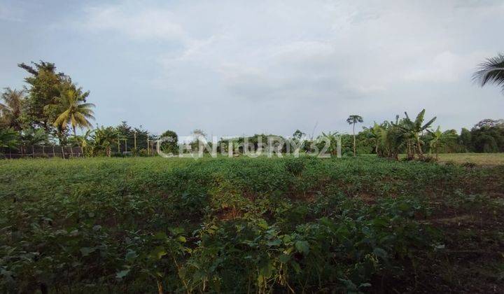 Tanah Siap Bangun LT. 3Hektar Ds. Bojong Jengkol Dramaga Bogor 2