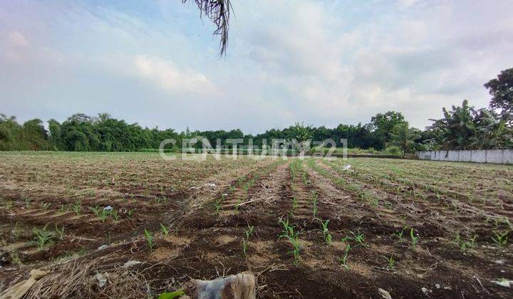 Tanah Siap Bangun LT. 3Hektar Ds. Bojong Jengkol Dramaga Bogor 1