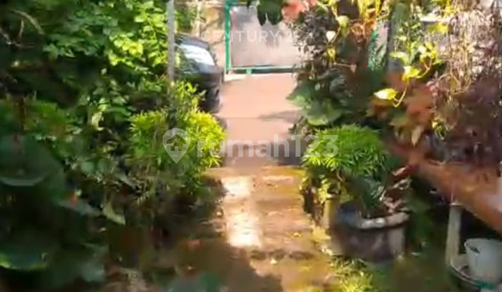 Rumah Strategis Area Kuliner di Jl Pangrango Taman Kencana Bogor Rumah Strategis Area Kuliner di Jl Pangrango Taman Kencana Bogor