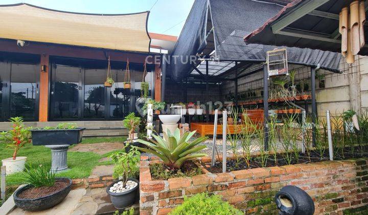 Rumah Villa Dan Kebun Luas Di Cijujung Bogor 2