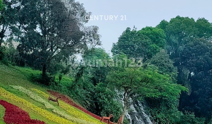 Strategic House at Rancamaya Golf Estate Kingsville 2