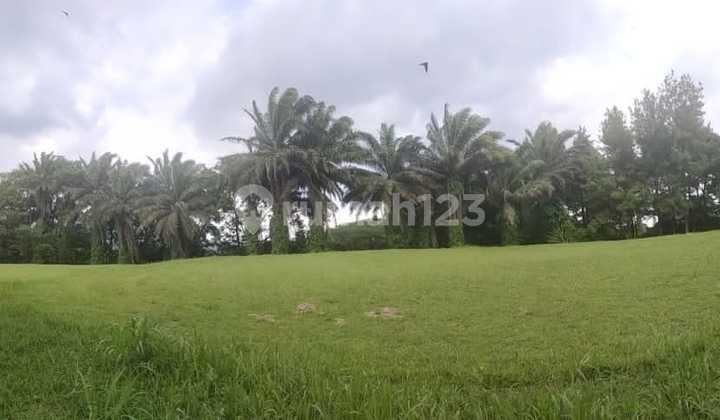 Kertanegara Plots Rancamaya Bogor, Strategic Location Near Bocimi Toll Road