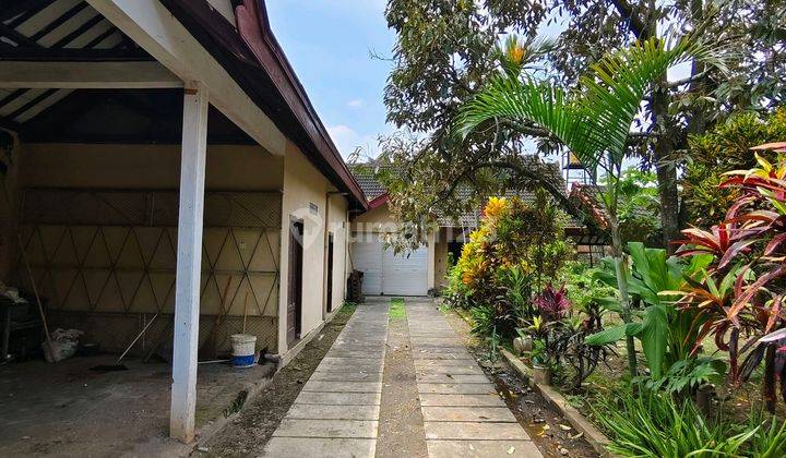 Rumah Classic Semi Colonial Terawat Daerah Gondanglegi Malang 2