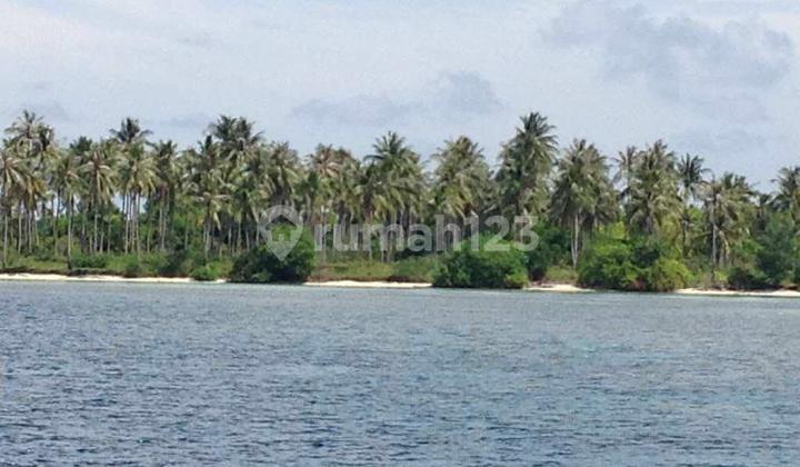 Tanah Luas Dengan Pantai Lokasi Kepulauan Karimun Jawa Tengah