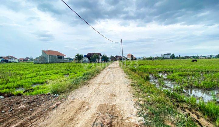 TANAH KAVLING KREDIT DEKAT PASAR UNTUNG SUROPATI  2