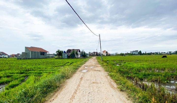 TANAH KAVLING KREDIT DEKAT PASAR UNTUNG SUROPATI  4