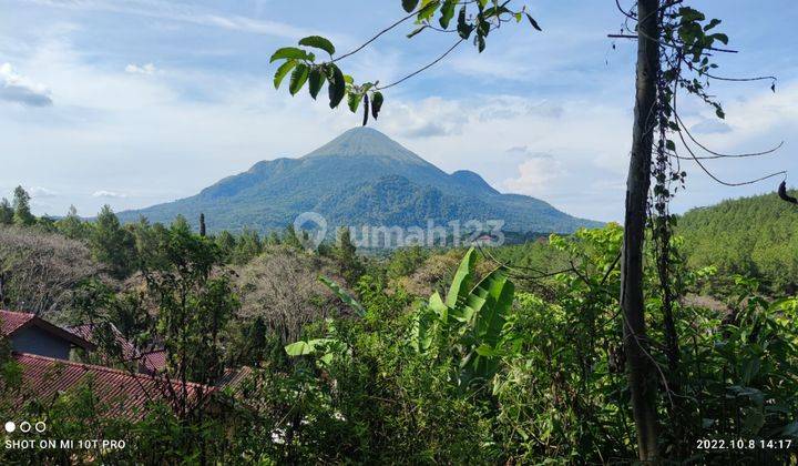 Villa Grand Estate Trawas Mojokerto Murah. Ric.a178 3