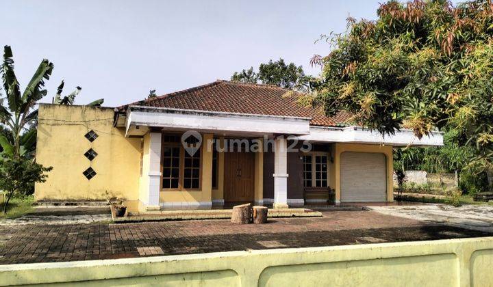Tanah Luas 22000 m² SHM di Jl Raya Puspitek Serpong  6