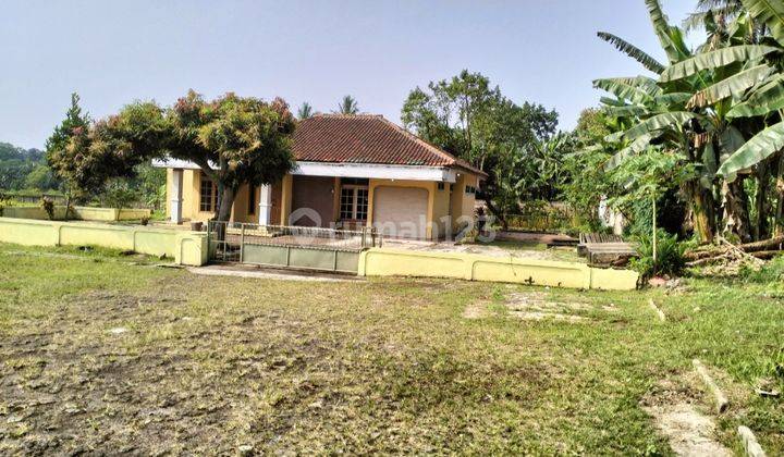 Tanah Luas 22000 m² SHM di Jl Raya Puspitek Serpong  7