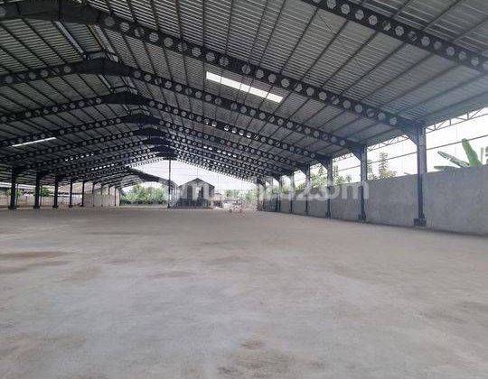 Gudang Baru 5000 M Di Jl Raya Cikupa Tangerang  1