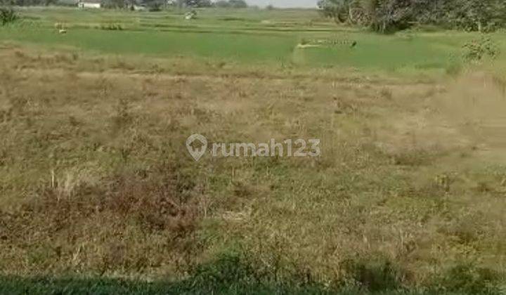 Tanah Shm 16 Hectare Di Jl Kp. Cikareo Tigaraksa Tangerang  1