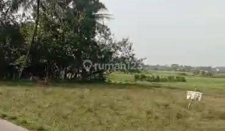 Tanah Shm 16 Hectare Di Jl Kp. Cikareo Tigaraksa Tangerang  2