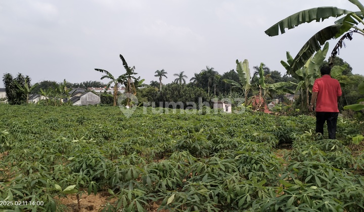 Tanah Bagus Cocok Untuk Cluster Di Tajurhalang