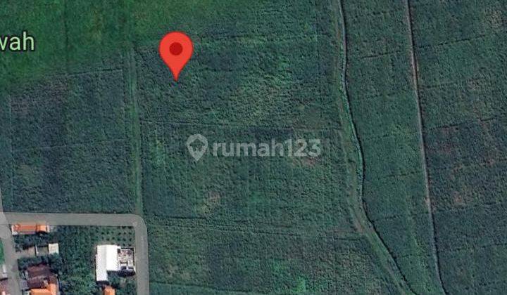 Turun Ambyaaaar,, Dijual Dibawah Harga Pasar Lahan Sawah Cocok Buat Kavlingan Dijual Cepat Lokasi Desa Kajeksan Tulangan Sidoarjo 1